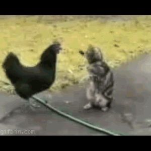 Meet your Posher, Christopher